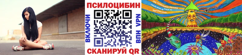 Купить где  Любань  Псилоцибиновые грибы Psilocybe 