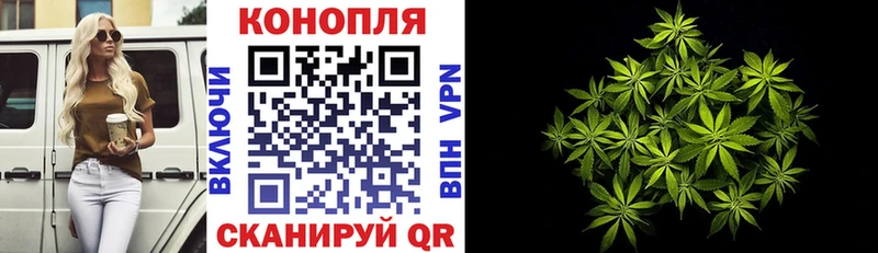 Шишки марихуана ГИДРОПОН  Купить закладки  Любань 
